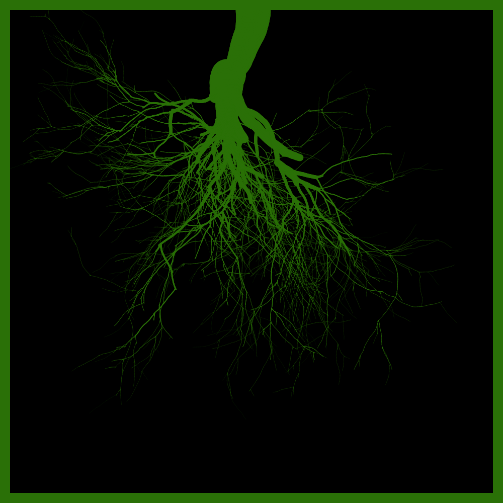 Arbres suspendus #10 static token preview