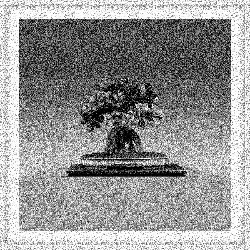 Bonsai Bonanza #577 static token preview