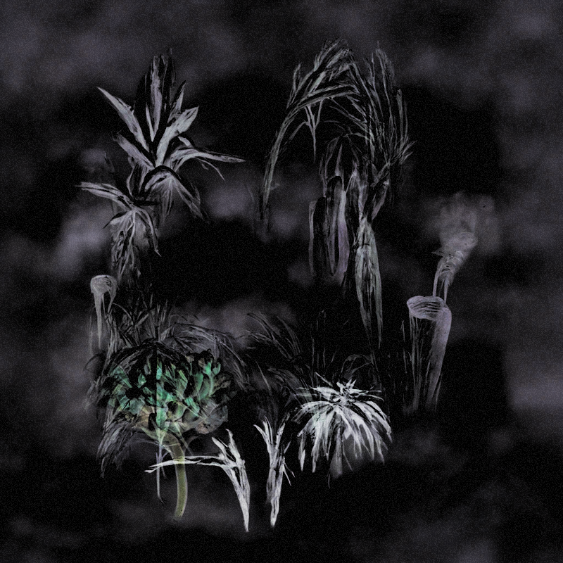 Hauntological Herbarium #4 static token preview