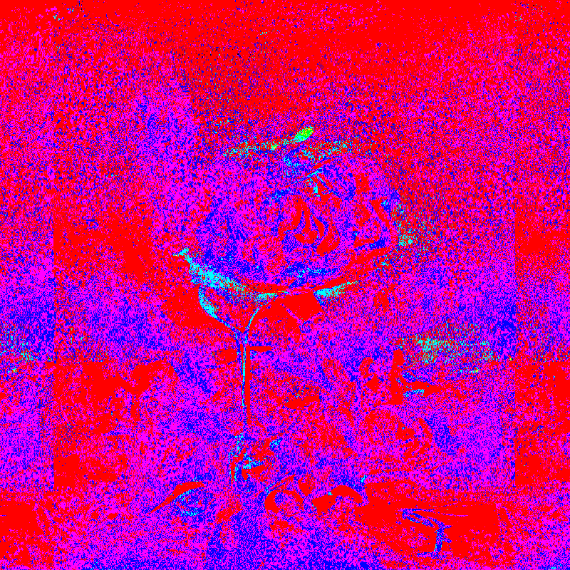 QUANTUM*FLOWERS #6 static token preview