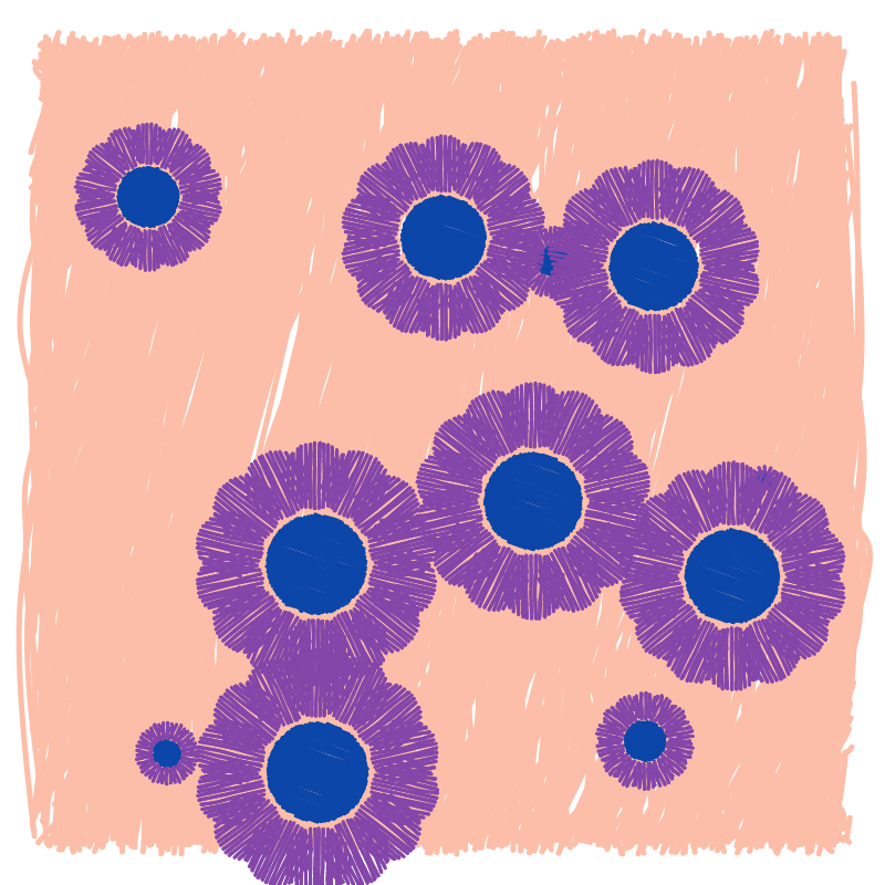 wildflower #19 static token preview