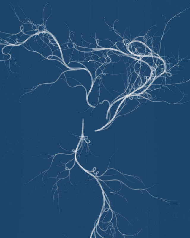 Cyanotypes #18 static token preview