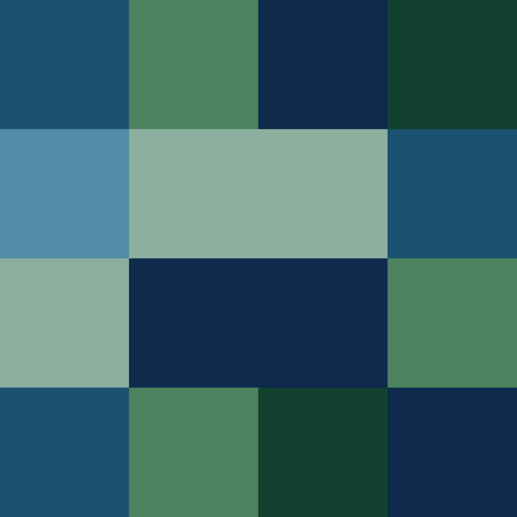 moma blox #31 static token preview