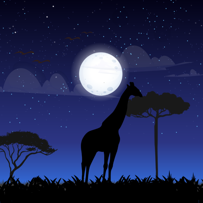 We Care... Giraffe #6 static token preview