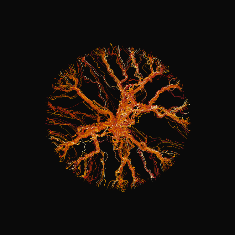 Ginseng #14 static token preview