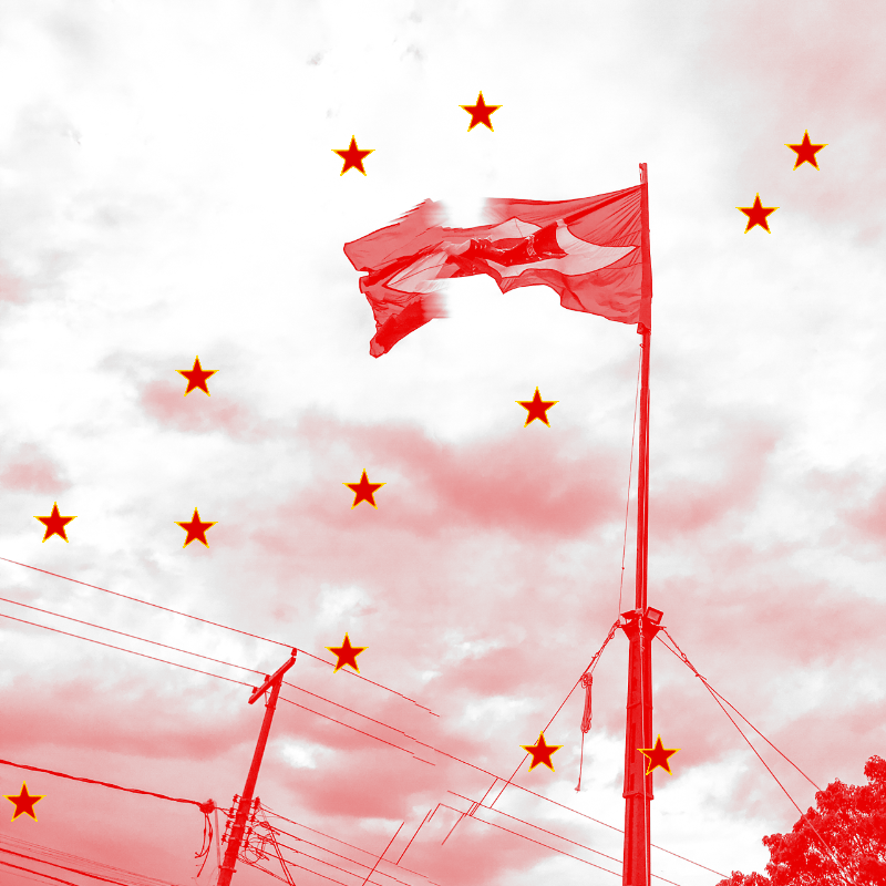 For democracy of Brazil #17 static token preview
