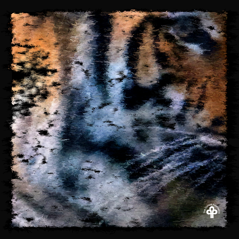 (re)generative tigers #15 static token preview