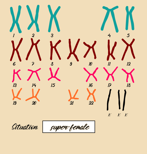 "Karyotype" #19 static token preview