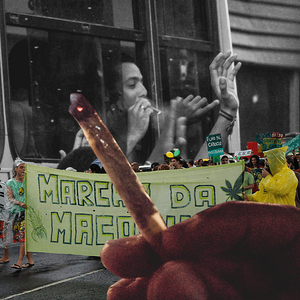 marijuana march project preview