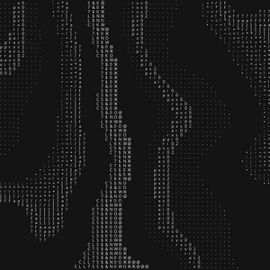 Praxis 002 project preview