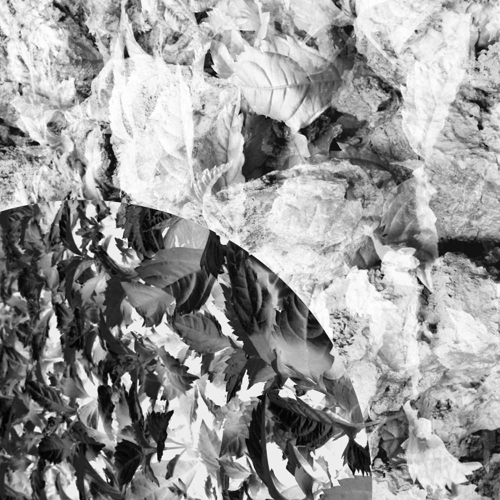Subjective photography #1 #11 static token preview