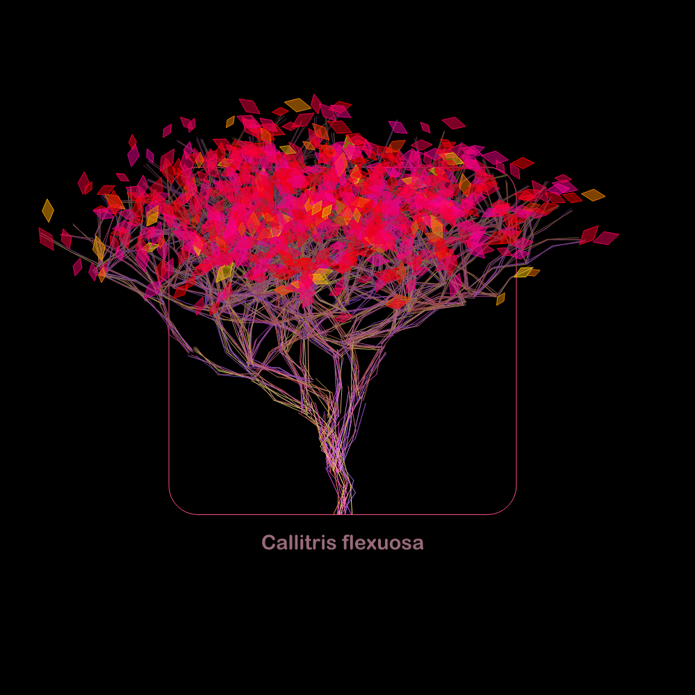 Fluidynamix - Trees #6 static token preview