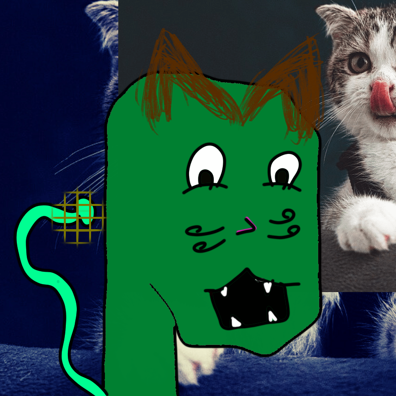 hi CAT lucas #13 static token preview
