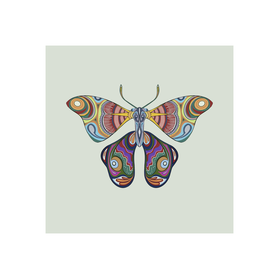 The Moth Experiment #14 static token preview