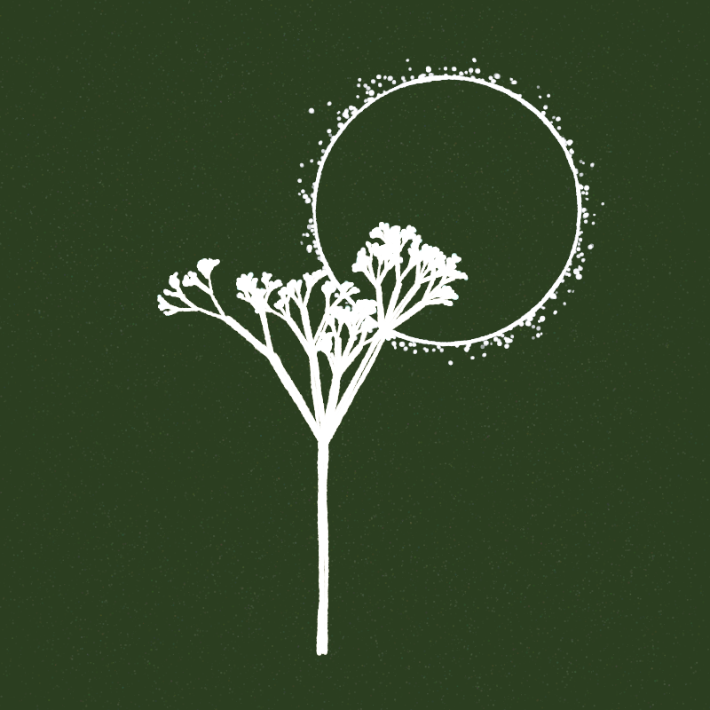 Hand-Drawn Tree #6 static token preview