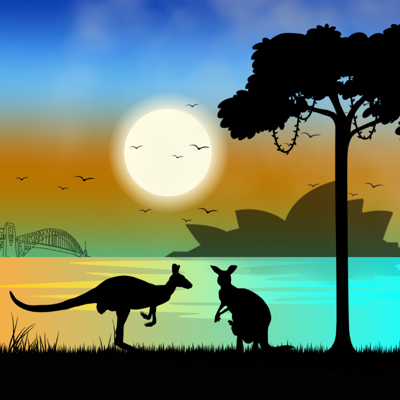 We Care...Kangaroo #2 static token preview