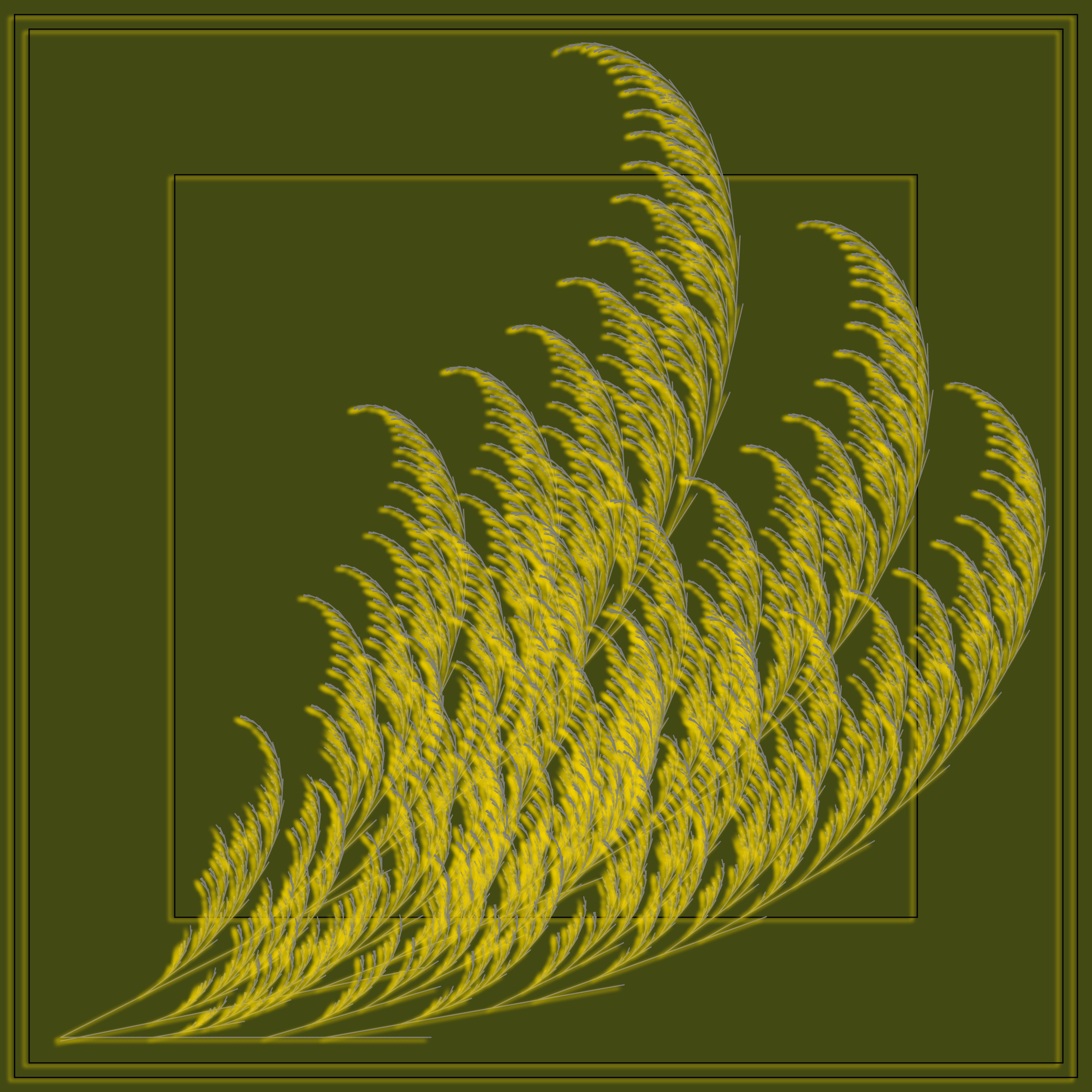 Fern #9 static token preview