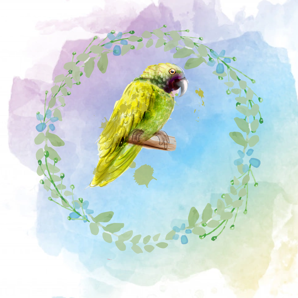Random Tropical Birds #14 static token preview