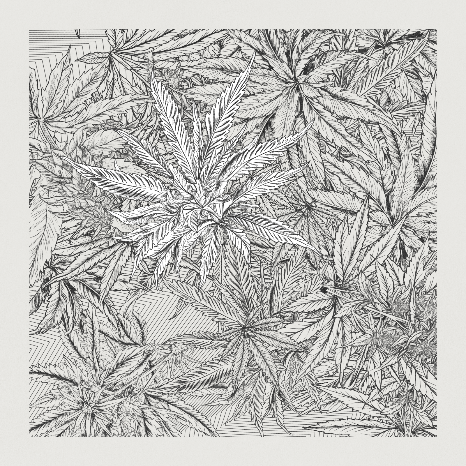 zancannabis #15 static token preview