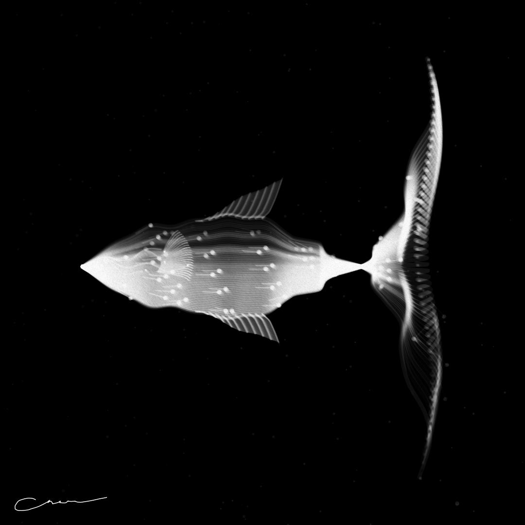 SoulFish #2 static token preview