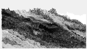 LAND++ project preview