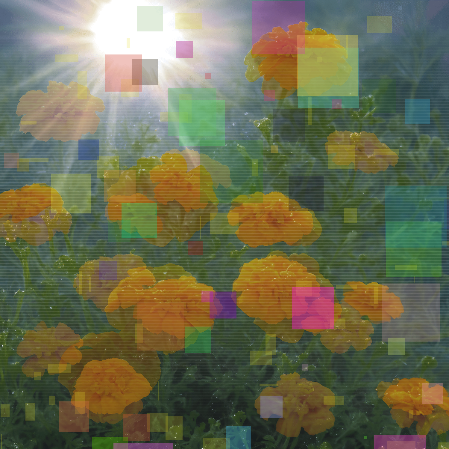 Marigolds #5 static token preview