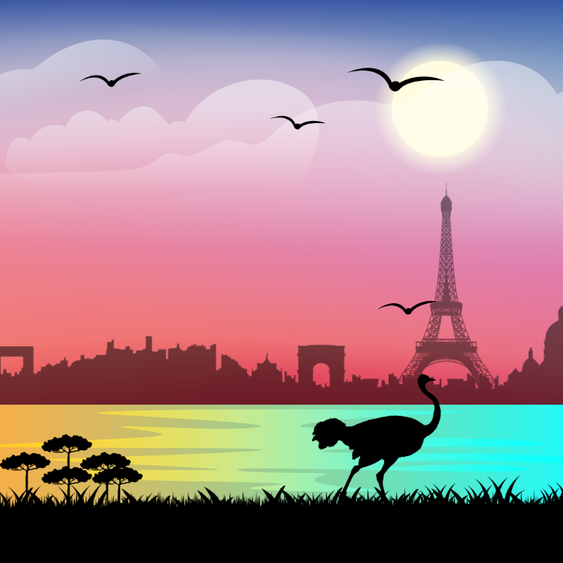 We Care...Ostrich #6 static token preview