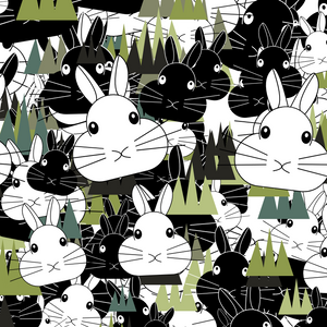 RABBITS project preview