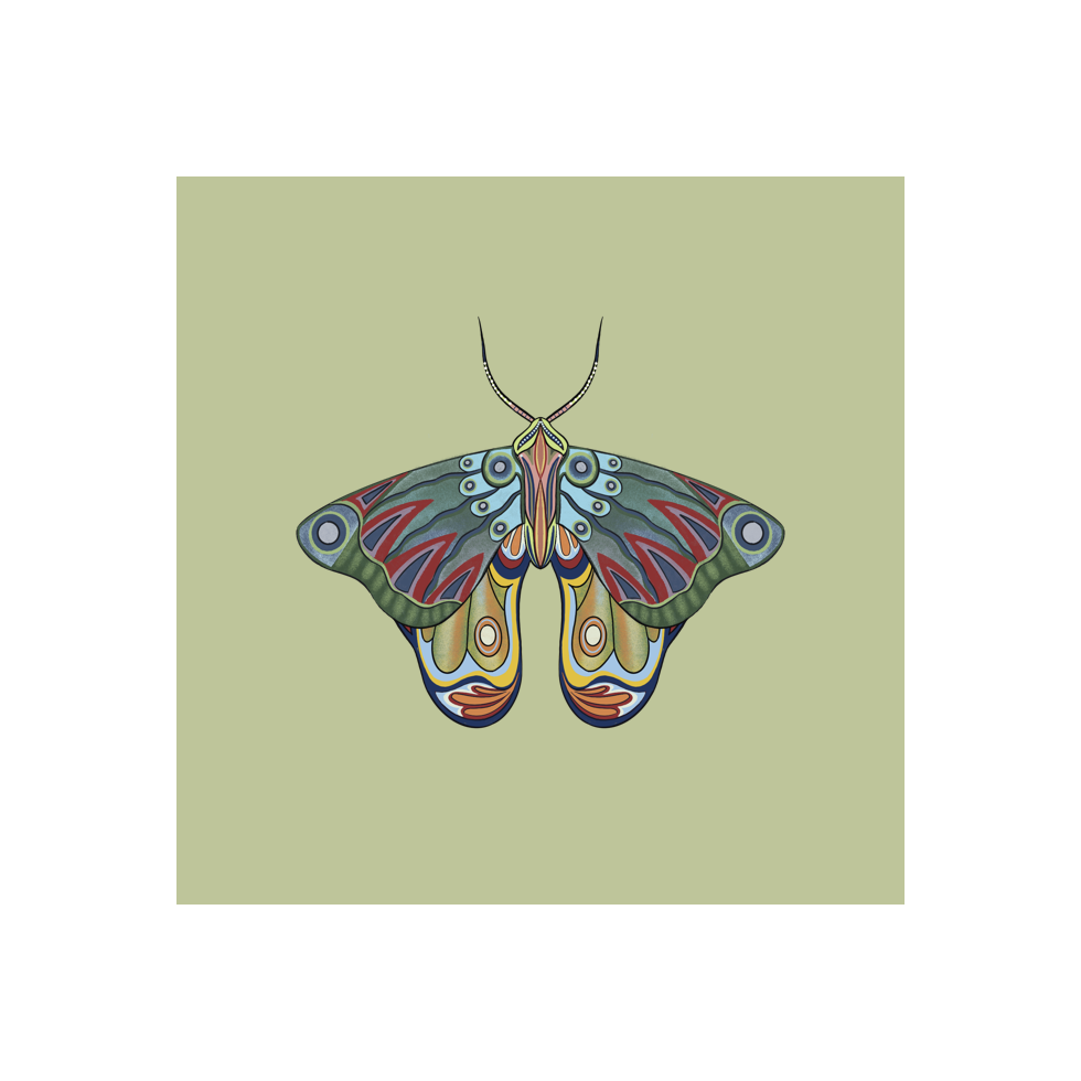 The Moth Experiment #12 static token preview