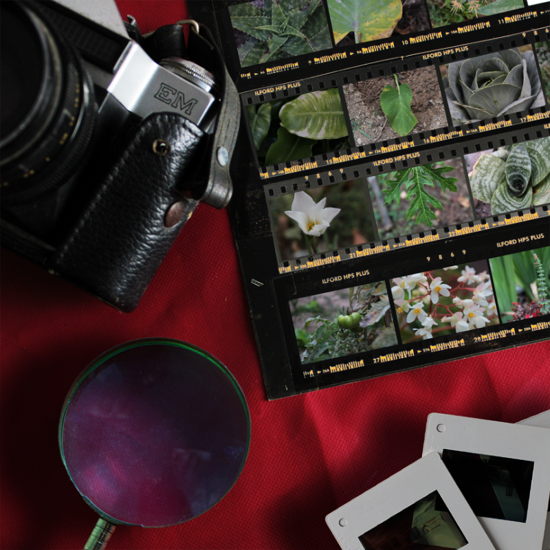 Contact Sheet #3 static token preview
