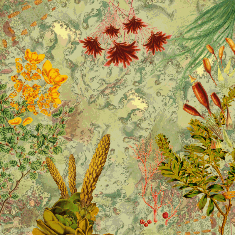future flora from Antarctica's past #19 static token preview