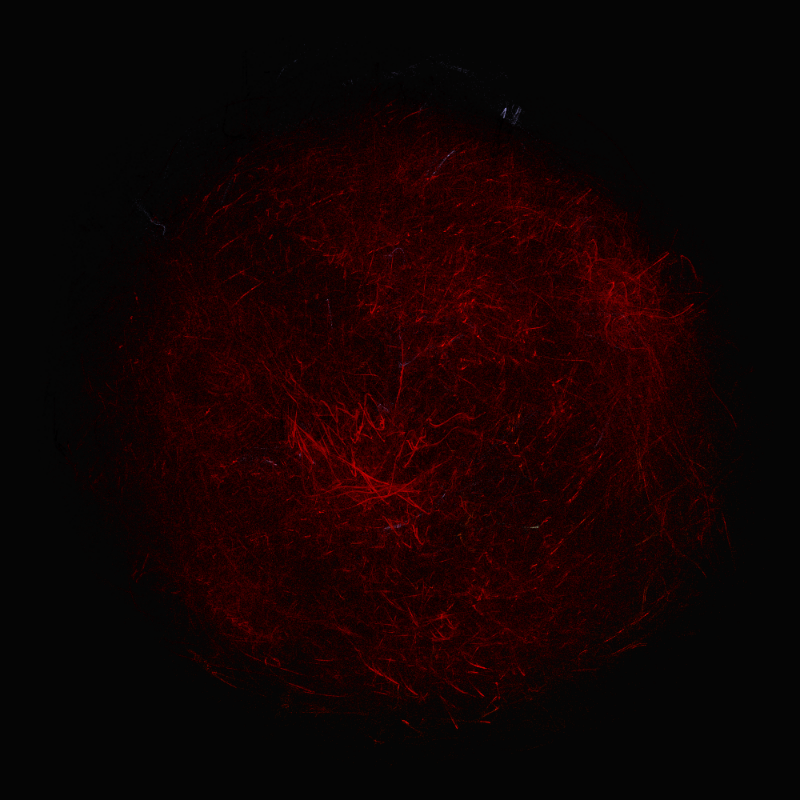 balls in vector fields #1 static token preview