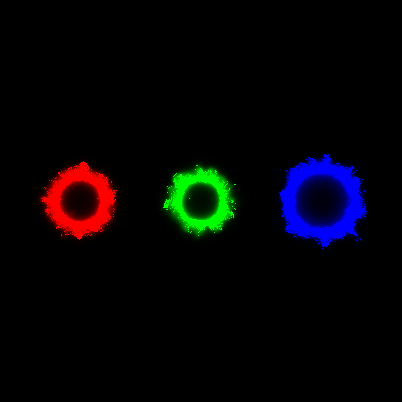 Physarum polycephalum #23 static token preview