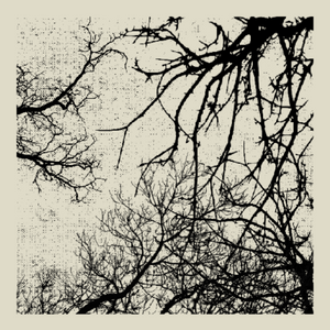 Forest of Shadows project preview