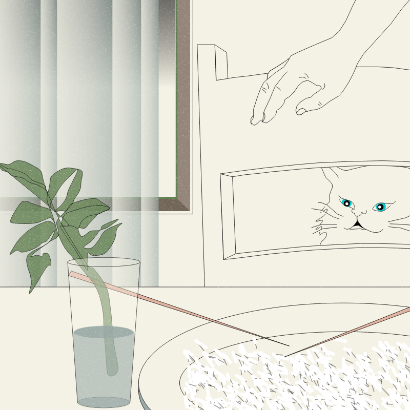 Still Life #6 #10 static token preview