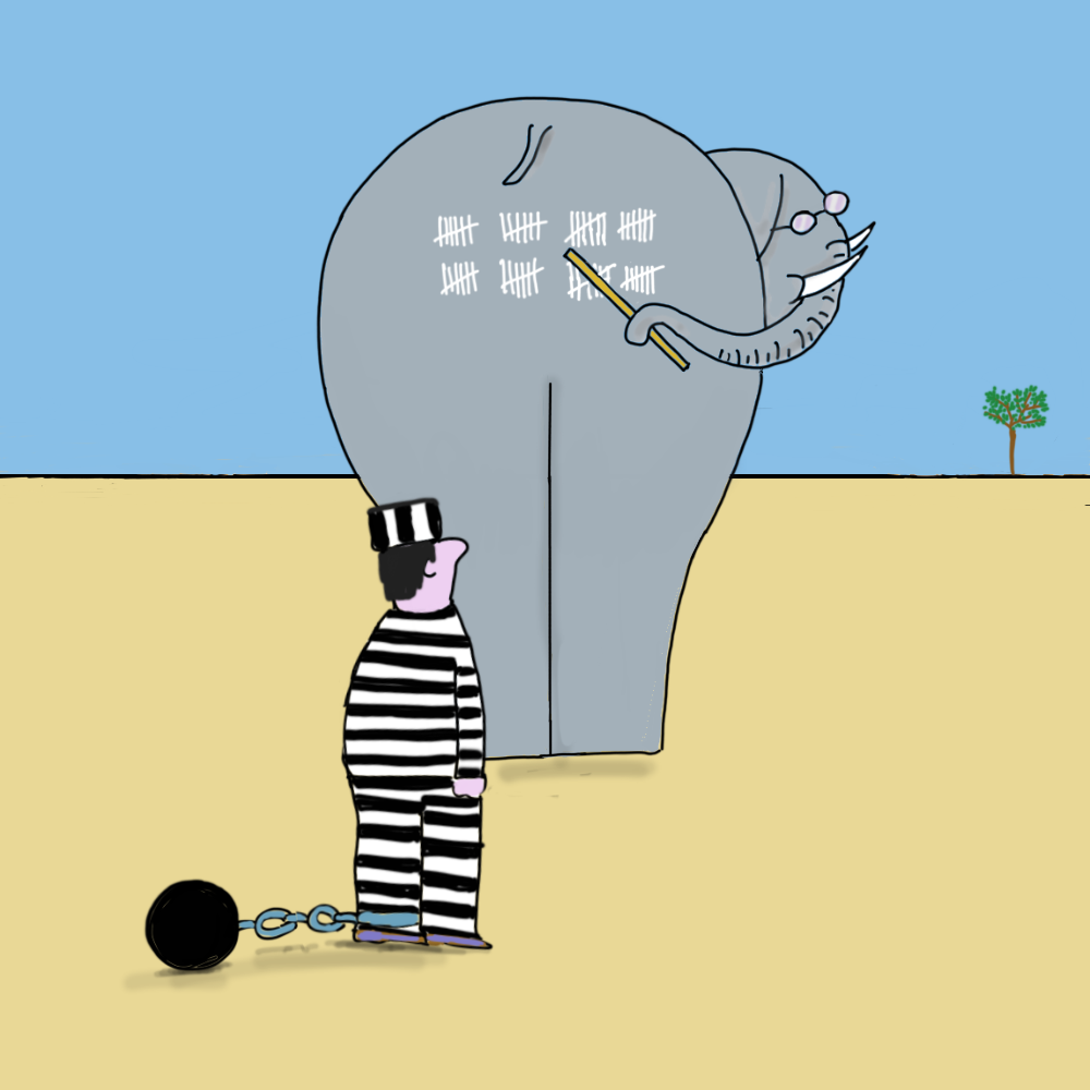 Elephant school #1 static token preview