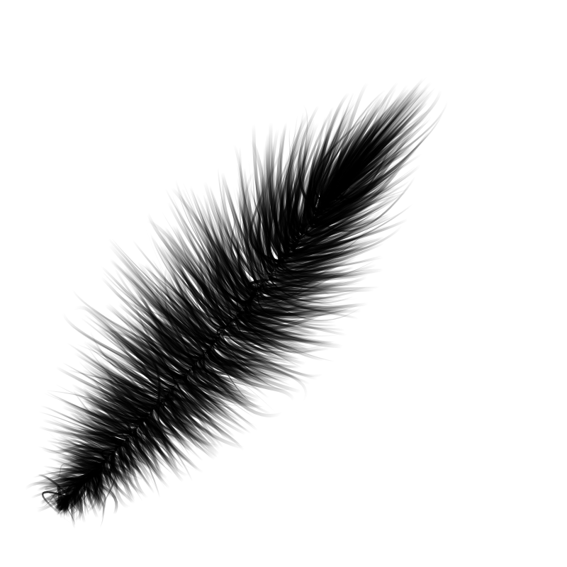 Random Feather #1 static token preview