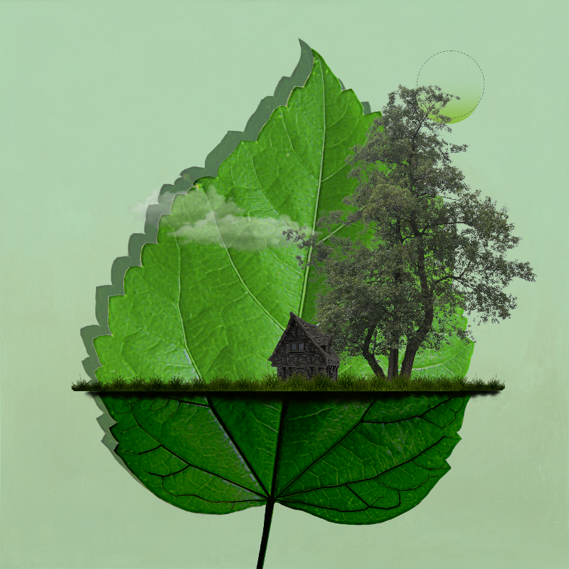 Live in Nature #1 static token preview