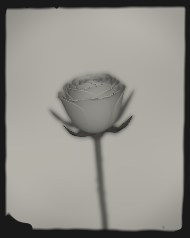 Rose 1851 #6 static token preview