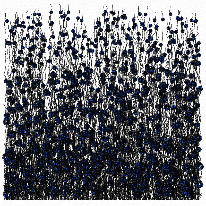 Cornflowers #10 static token preview