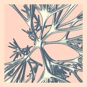 Bones that support nothing project preview