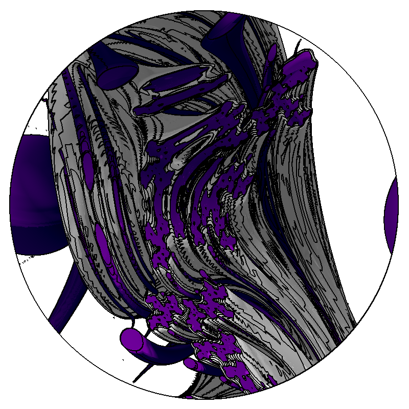 LL21 Anatomy #20 static token preview