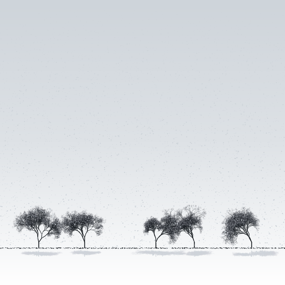 Sakuras in the snow #22 static token preview