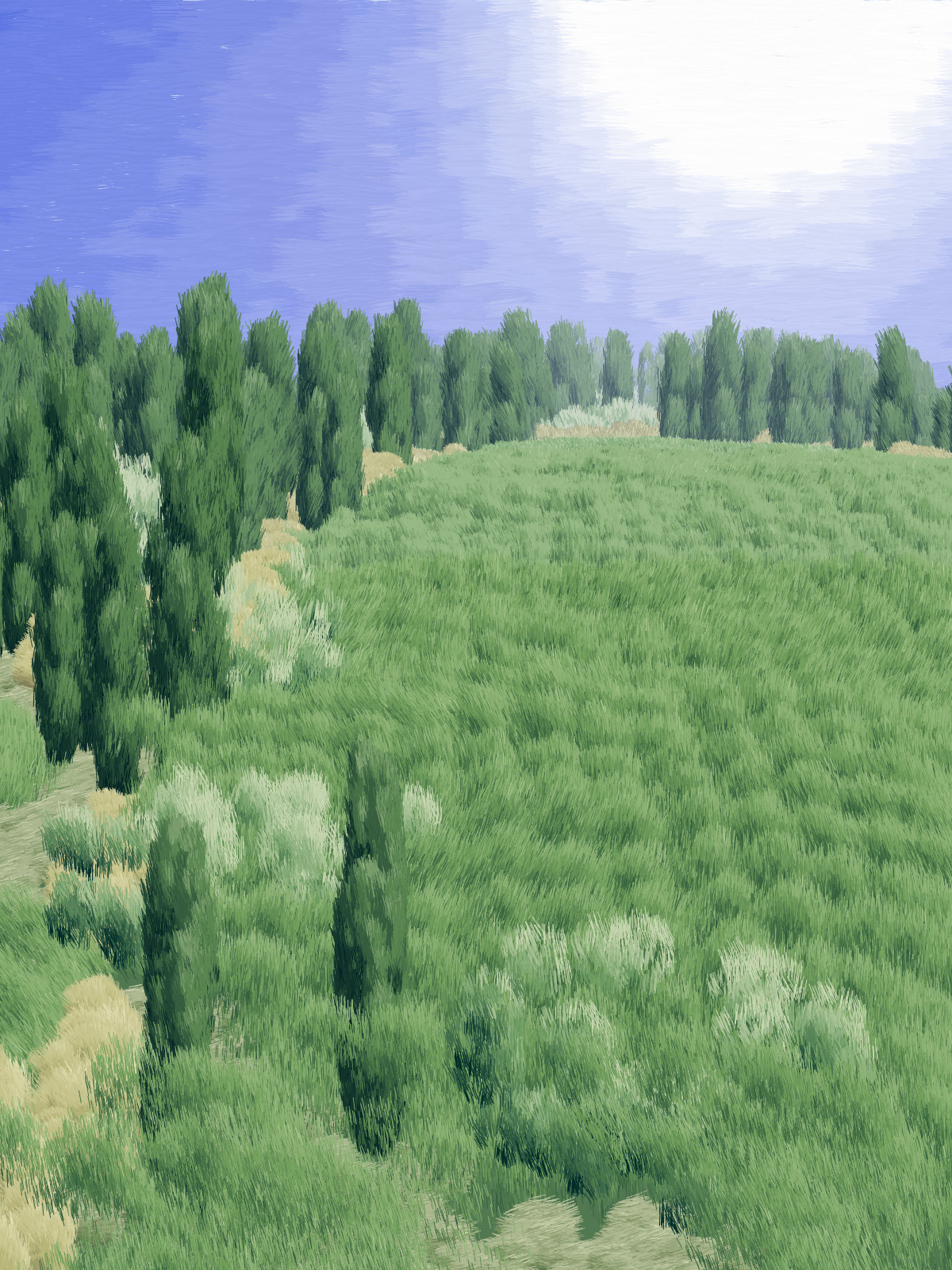 Provence #1 static token preview
