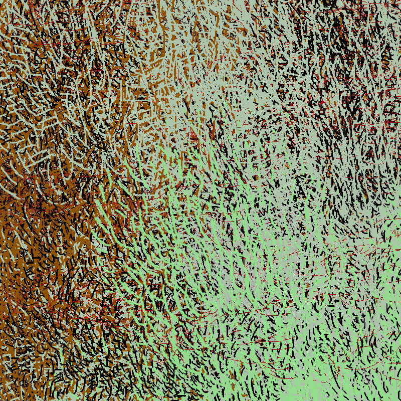a bird worked on my painting #3 static token preview