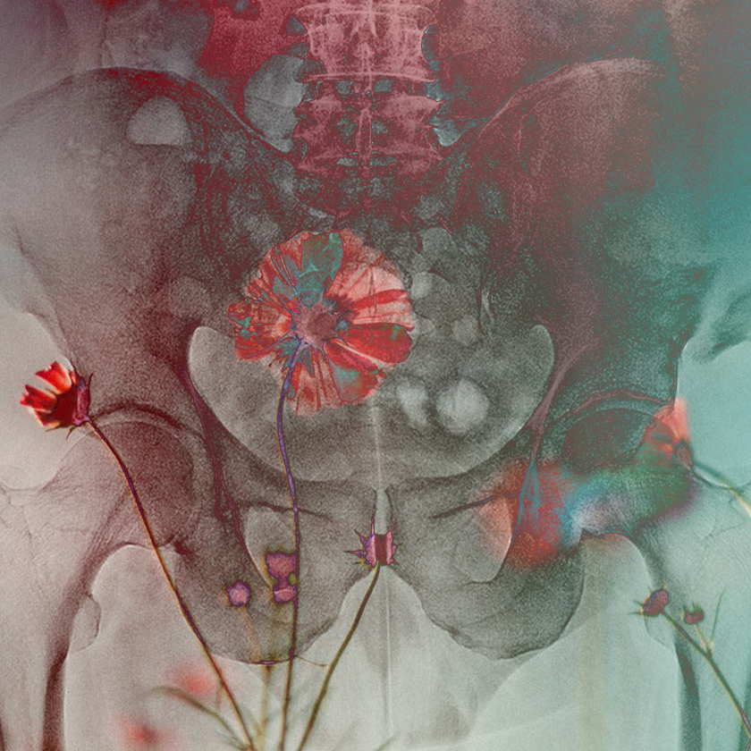 flowers and death #12 static token preview