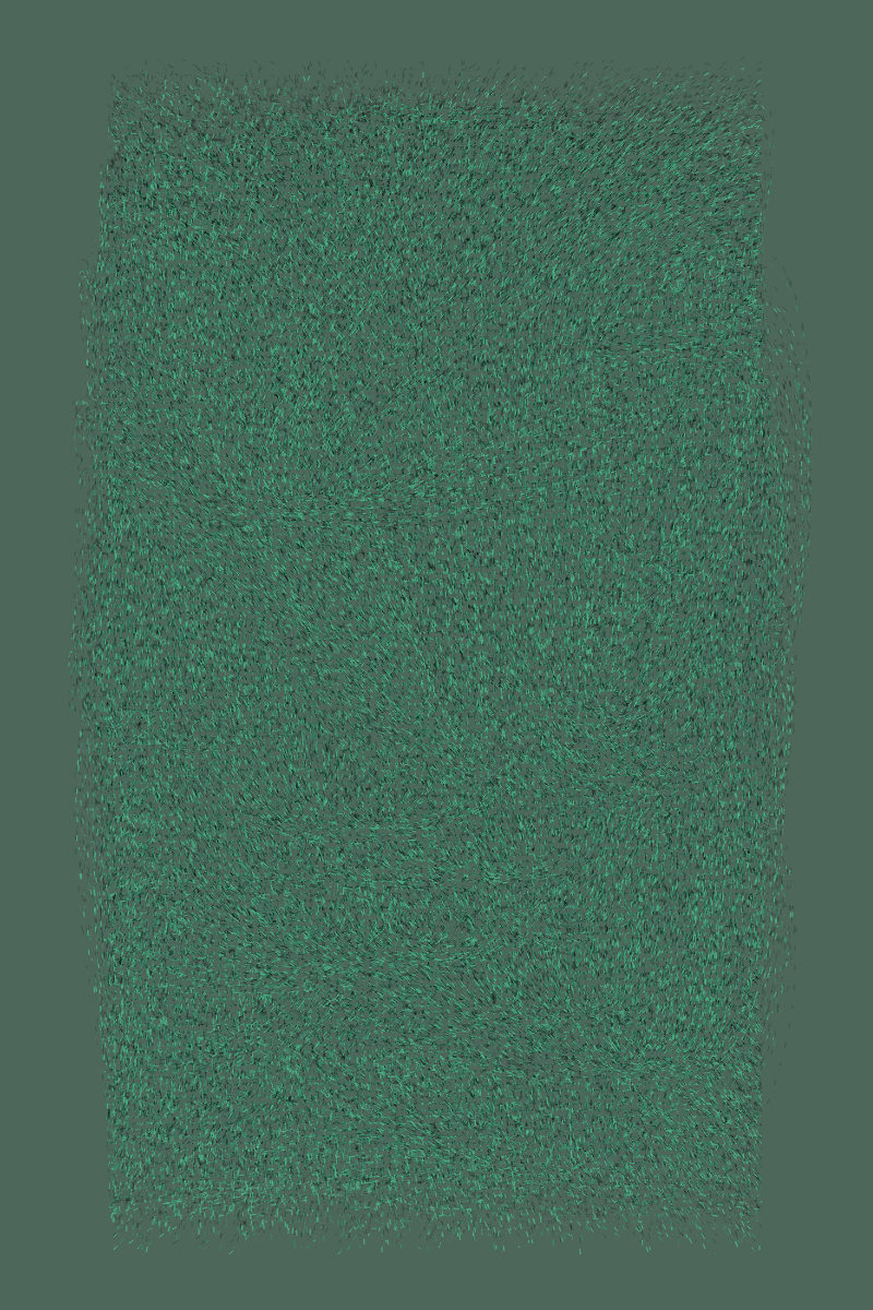 Grass #8 static token preview