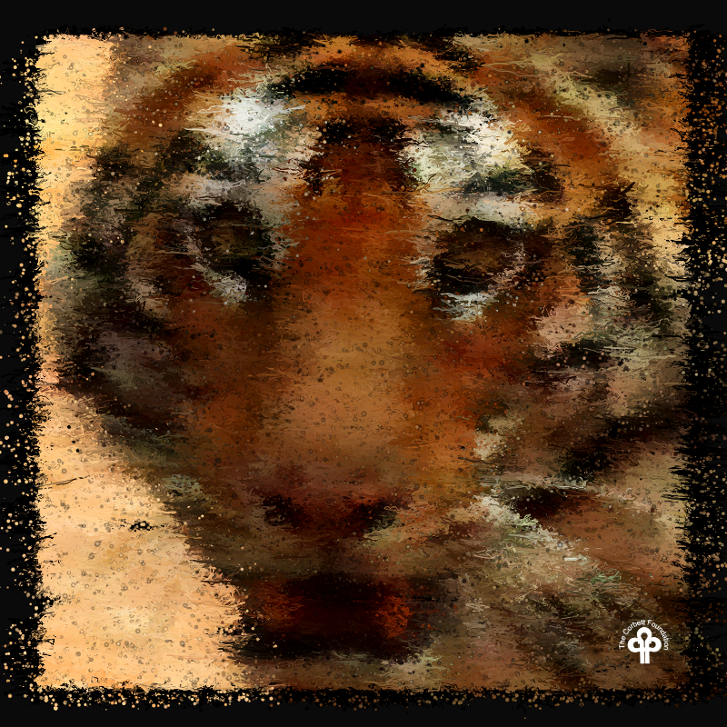 (re)generative tigers #12 static token preview