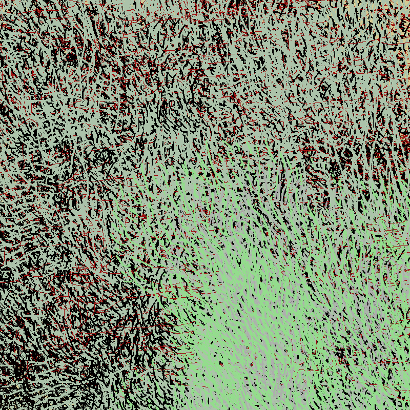 a bird worked on my painting #16 static token preview