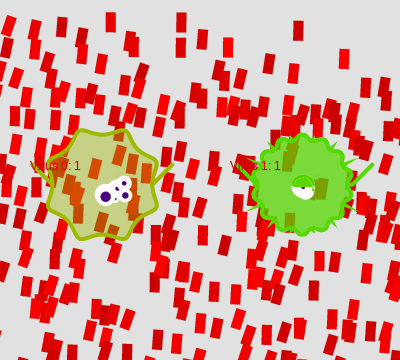 Viruses Party in COVID-19 pandemic #1 static token preview